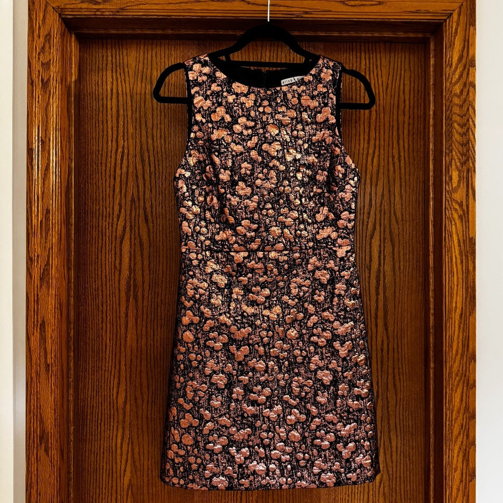 Alice + Olivia mini dress